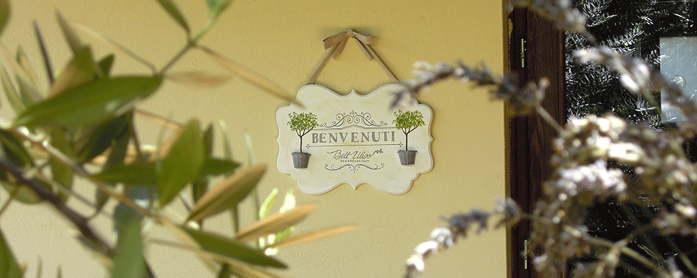 il bell'ulivo